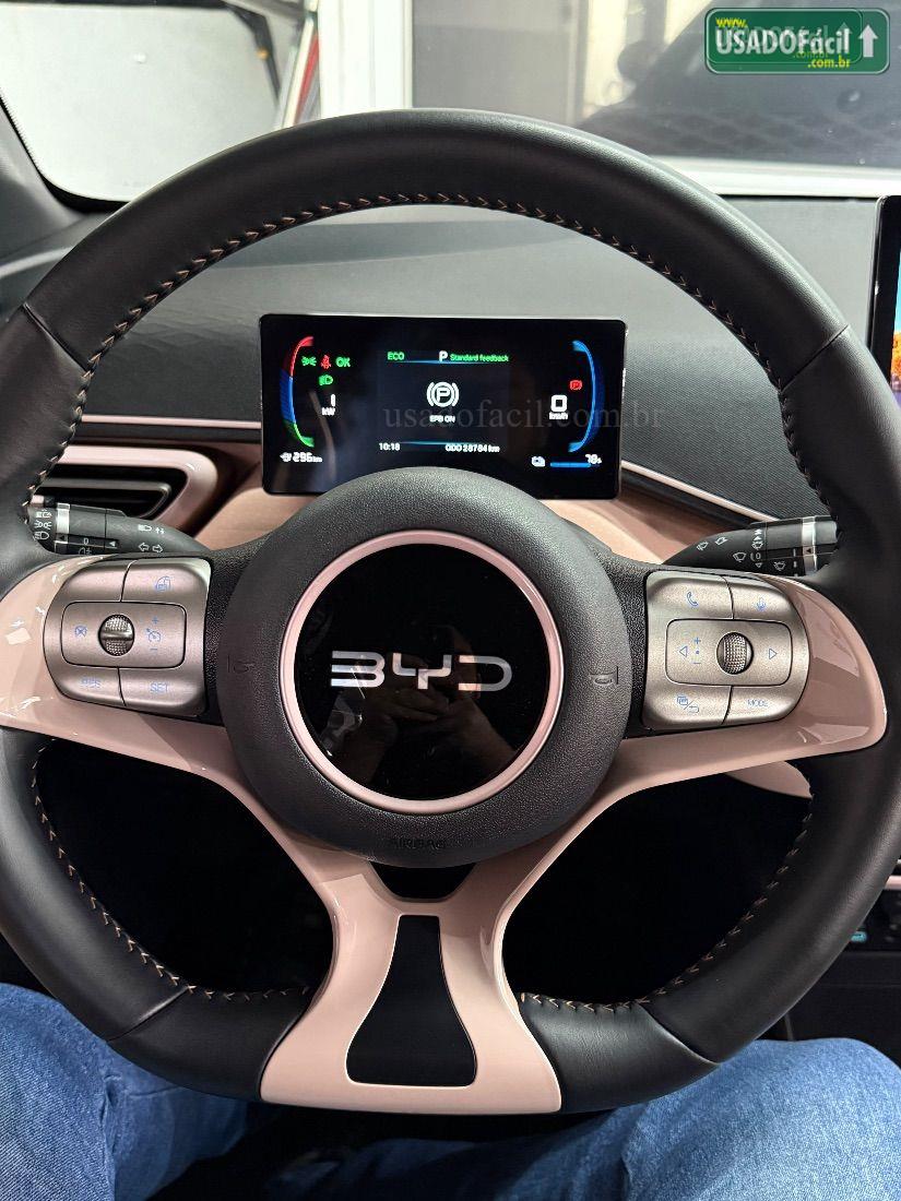 BYD BYD Dolphin Mini GS Elétrico 2024/2025 — foto 20 de 30