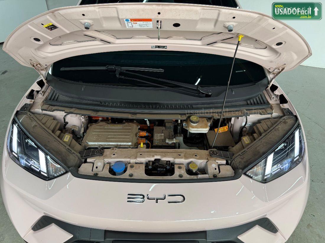 BYD BYD Dolphin Mini GS Elétrico 2024/2025 — foto 30 de 30