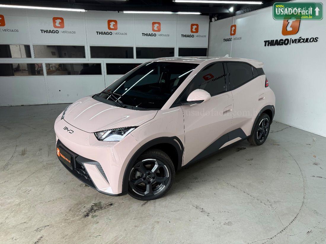 BYD BYD Dolphin Mini GS Elétrico 2024/2025 — foto 4 de 30