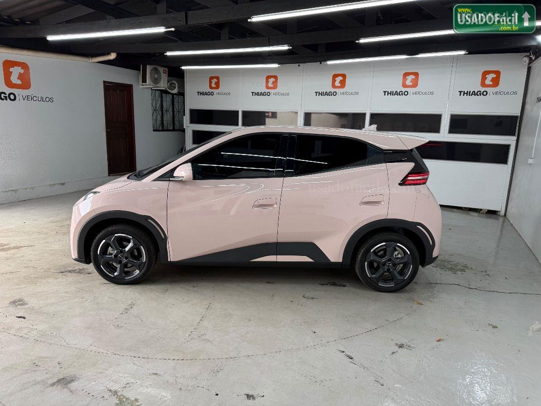 BYD BYD Dolphin Mini GS Elétrico 2024/2025 — foto 6 de 30