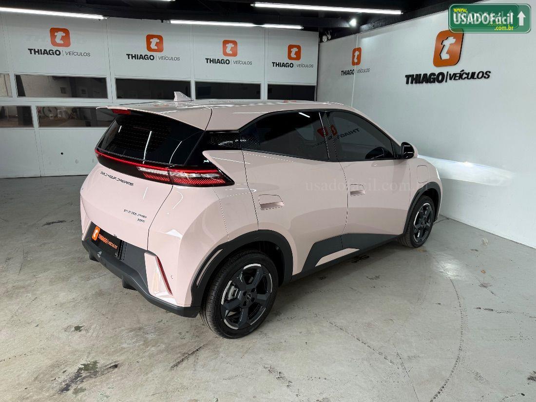 BYD BYD Dolphin Mini GS Elétrico 2024/2025 — foto 7 de 30
