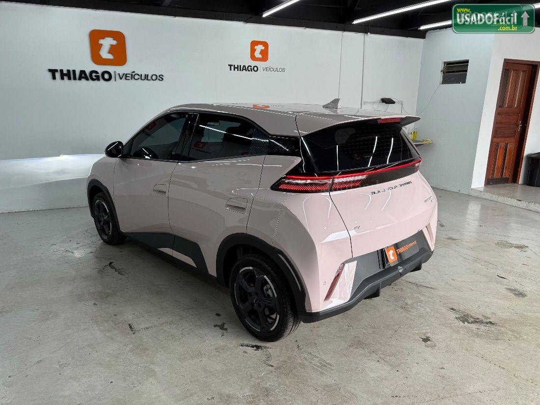 BYD BYD Dolphin Mini GS Elétrico 2024/2025 — foto 8 de 30