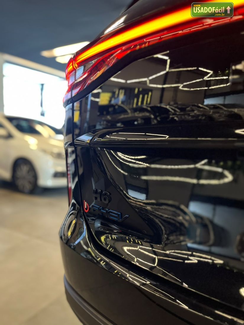 GWM Haval H6 Premium PHEV AWD Híbrido 2024/2025 — foto 8 de 19