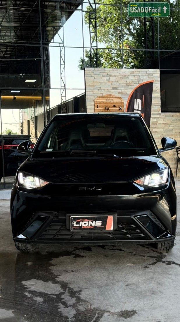 BYD BYD Dolphin Mini Elétrico 2024/2025 — foto 3 de 9