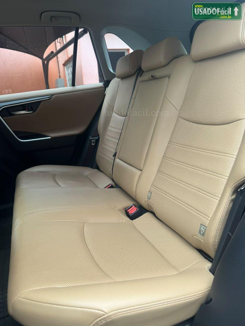 TOYOTA RAV4 SX 4x4 2.5 Hybrid Automático 2019/2020 — foto 10 de 11