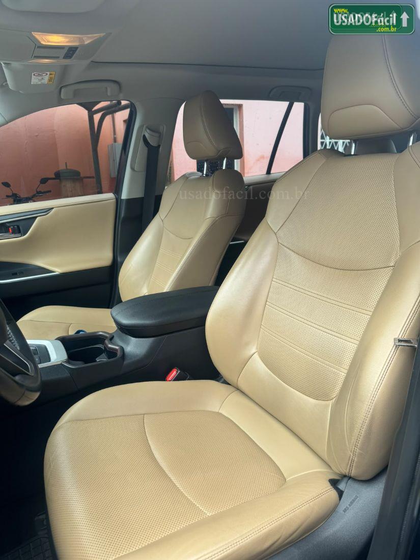 TOYOTA RAV4 SX 4x4 2.5 Hybrid Automático 2019/2020 — foto 9 de 11