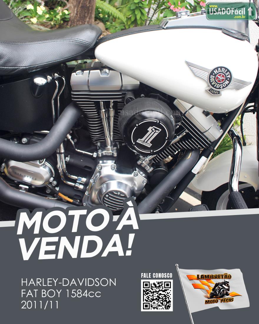 HARLEY DAVIDSON Harley Davidson Fat Boy FLSTF 2011/2011 — foto 10 de 10