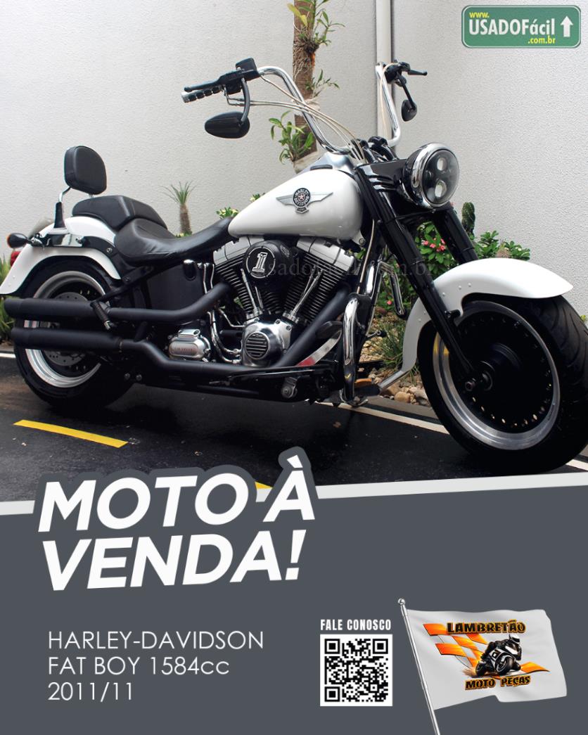 HARLEY DAVIDSON Harley Davidson Fat Boy FLSTF 2011/2011 — foto 2 de 10