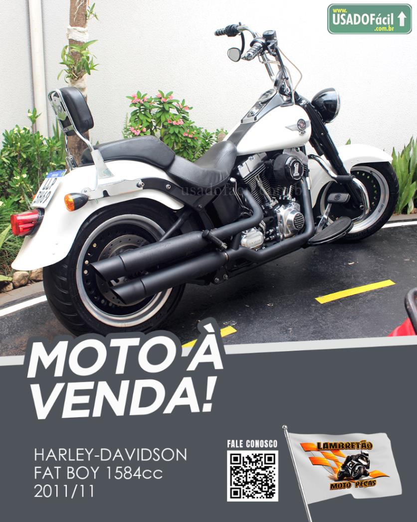 HARLEY DAVIDSON Harley Davidson Fat Boy FLSTF 2011/2011 — foto 3 de 10