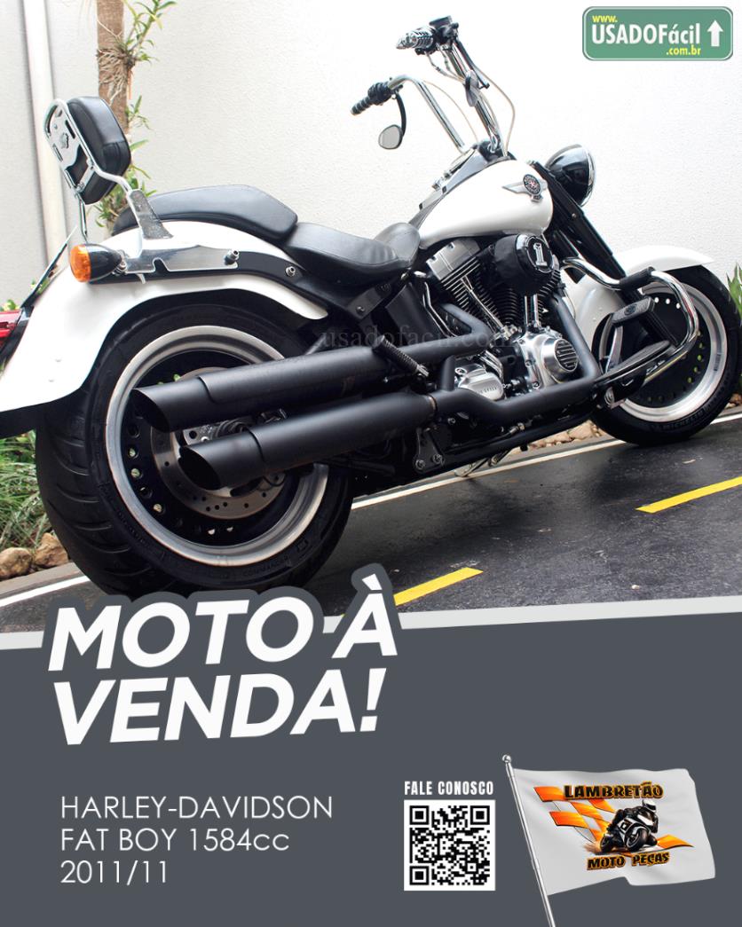 HARLEY DAVIDSON Harley Davidson Fat Boy FLSTF 2011/2011 — foto 4 de 10