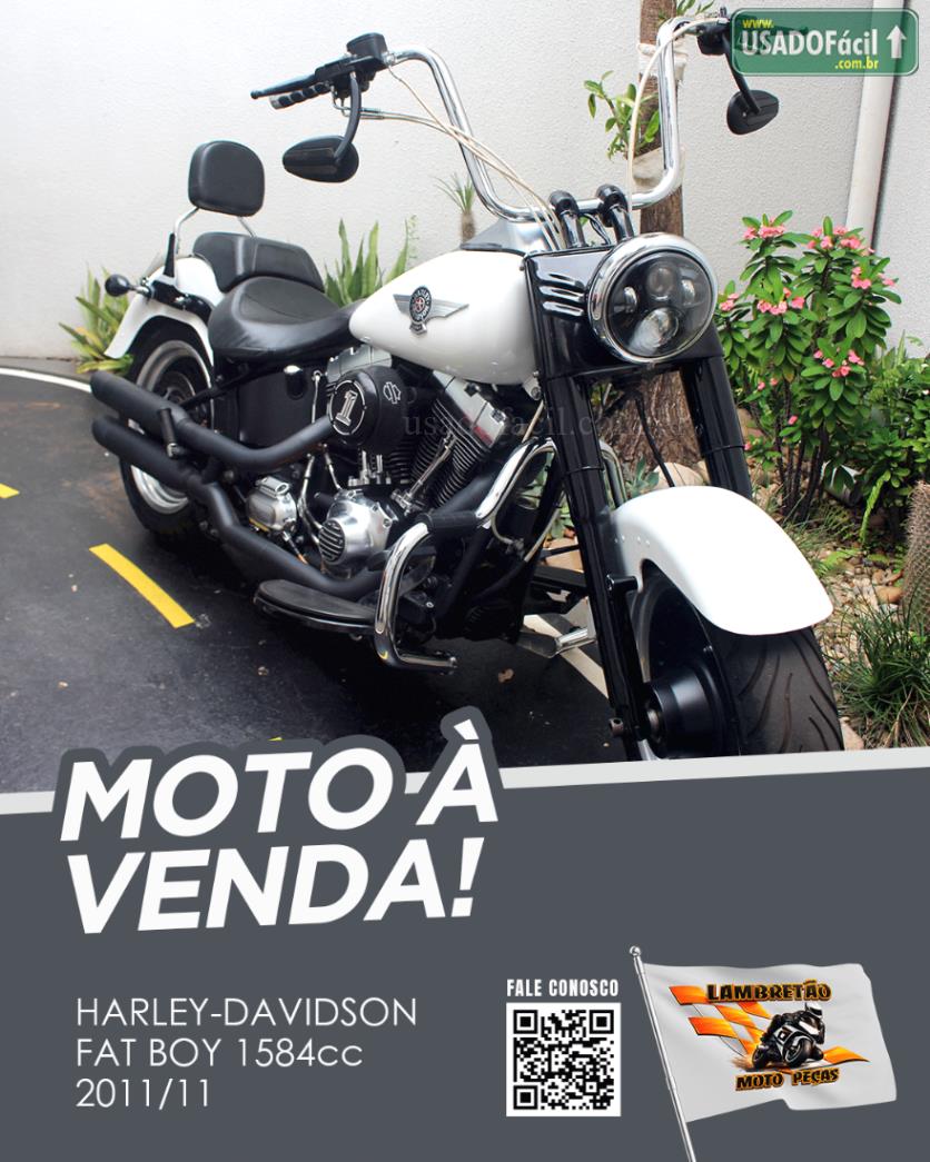 HARLEY DAVIDSON Harley Davidson Fat Boy FLSTF 2011/2011 — foto 7 de 10