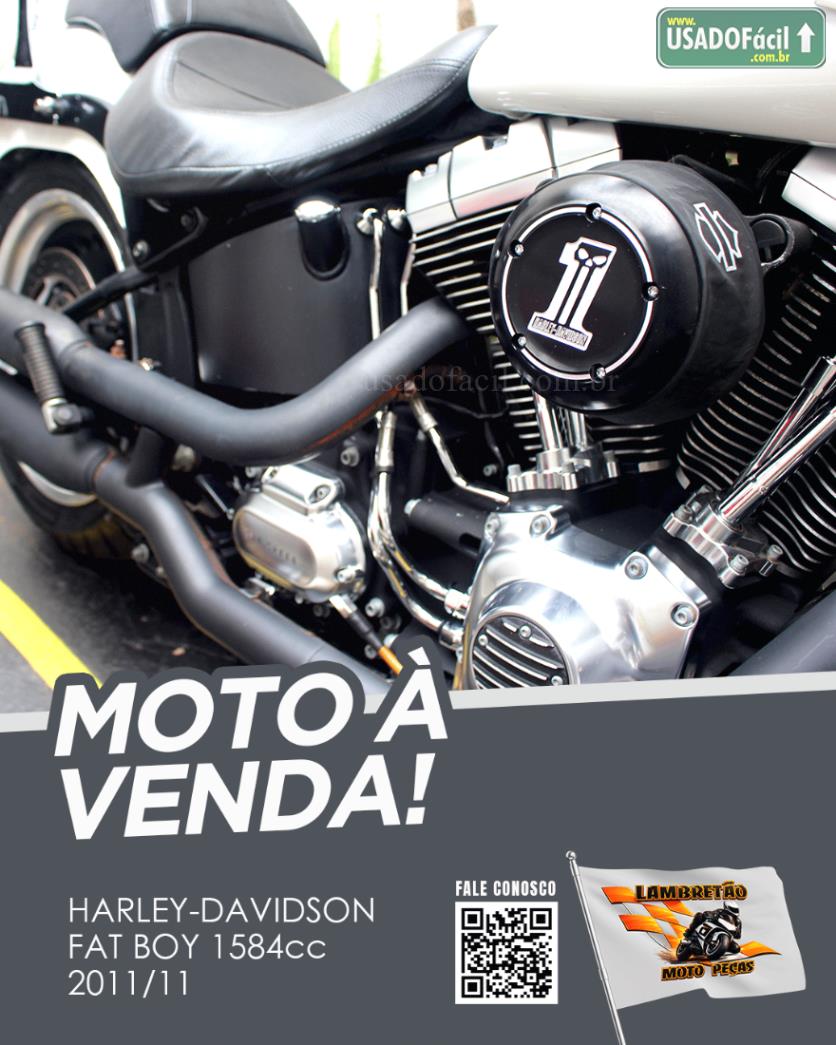 HARLEY DAVIDSON Harley Davidson Fat Boy FLSTF 2011/2011 — foto 8 de 10