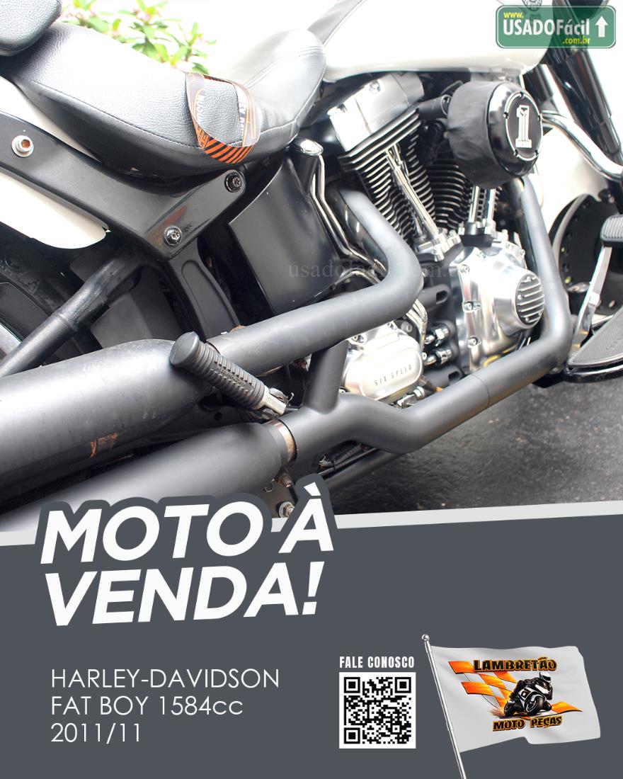 HARLEY DAVIDSON Harley Davidson Fat Boy FLSTF 2011/2011 — foto 9 de 10