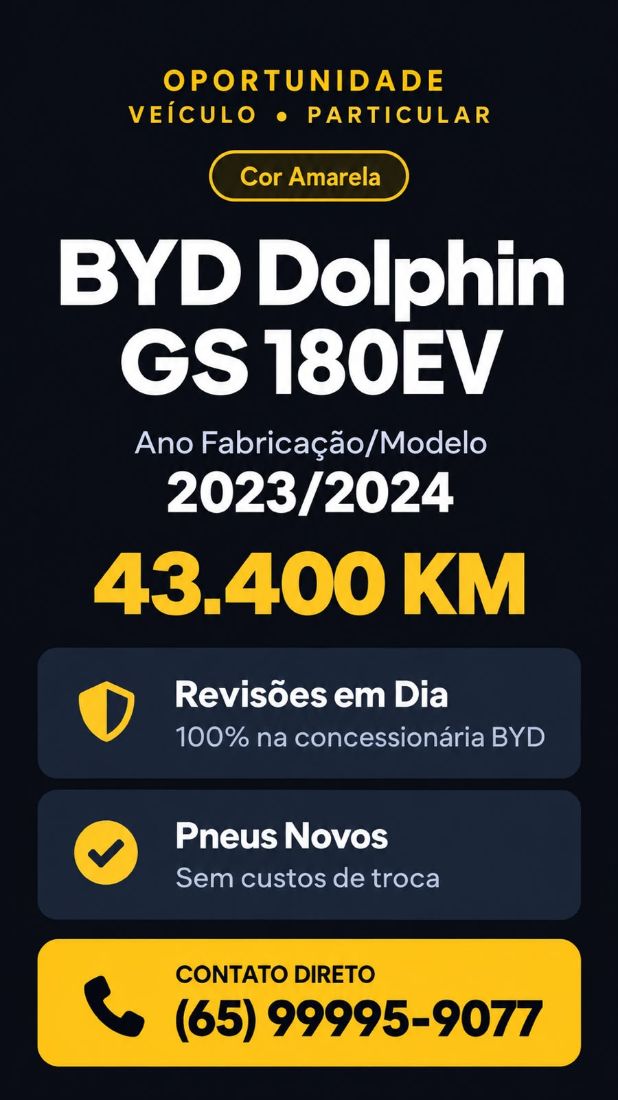 BYD BYD Dolphin EV Elétrico 2023/2024 — foto 10 de 10
